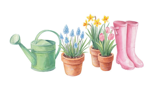Watercolor spring gardening essentials collection: pink rain boots, potted flowers a green watering can