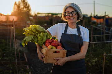 Female Farmer Holding Crate of Fresh Organic Vegetables at Sunset in her Garden