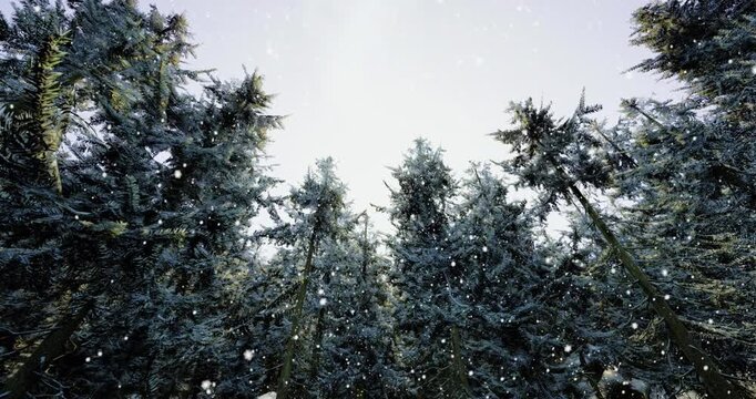 Snowflakes drift softly through tall pine trees in a serene winter forest. The atmosphere feels peaceful and quiet, with snow blanketing the ground and branches.