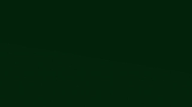 Opening Scene Visualizing Calm Natural Elements In Subtle Green Tone