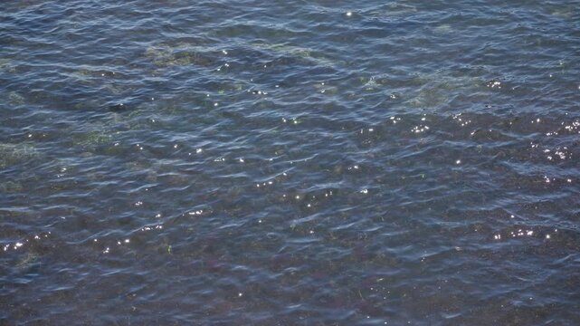 Sunlit mediterranean sea water shimmering with gentle waves, capturing a serene outdoor beach scene on a bright sunny day.