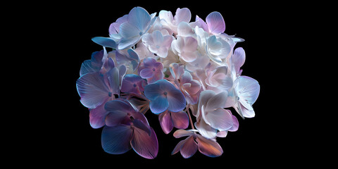 A Cluster of Holographic Hydrangeas