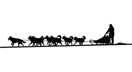 a striking illustration depicts a dog sled team and their musher presented in a monochromatic black against a stark white background silhouette © mrvect02