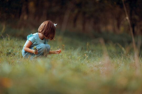 Little Girl Picking Flowers in a Meadow in Springtime. Child enjoys a nature walk, selecting wild blooms in a wide open field 
