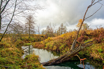 Small River in Rural Area in Late Autumn