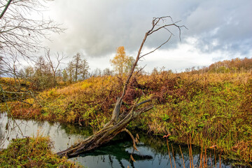Small River in Rural Area in Late Autumn