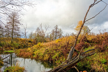 Small River in Rural Area in Late Autumn