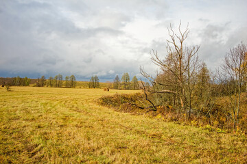 A mown field in late autumn on a cloudy day