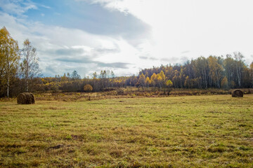 A mown field in late autumn on a cloudy day