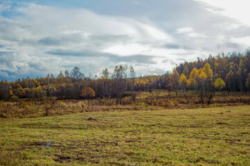A mown field in late autumn on a cloudy day