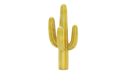 Yellow Saguaro Cactus with Ribs