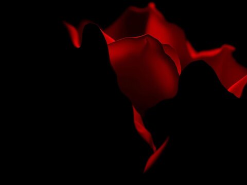 Velvet crimson in silhouette, light defining its profound depth, love,  passion