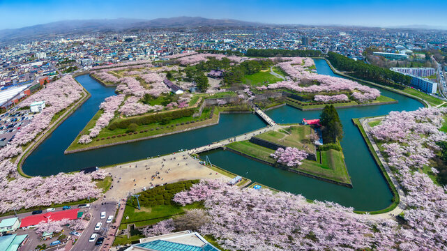 High angle view of star-shaped fortress park with full bloom cherry blossoms in spring (Hakodate, Hokkaido, Japan) - Powered by Adobe