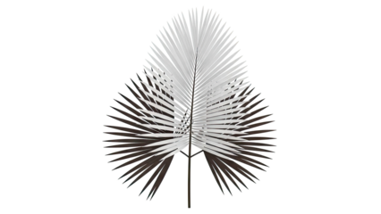 Stylized Palm Frond Illustration