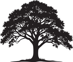Obraz premium Majestic Oak Tree Silhouette CollectionOak Tree Black Silhouette Vector SetNature Oak Tree Silhouettes Illustration