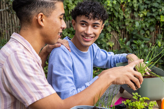 Male friends filling planter with soil, placing herb seedlings on backyard garden table - Powered by Adobe