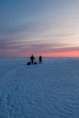 Two bundled anglers pull gear sleds along snowmobile grooves on open ice at dusk. Layered pink and violet twilight spreads across thin clouds as they prepare to drill.