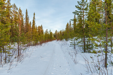 Beautiful winter landscape in Finnish Lapland around Akaslompolo, Finland