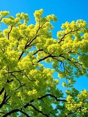 Fototapeta premium Lush green tree with sprawling branches against a clear blue sky, green, landscape