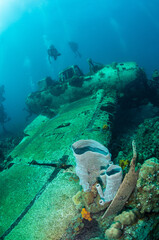 Diving at the underwater wreck of a jake sea plane in Palau with divers exploring the marine life and history below the surface © prelevicm