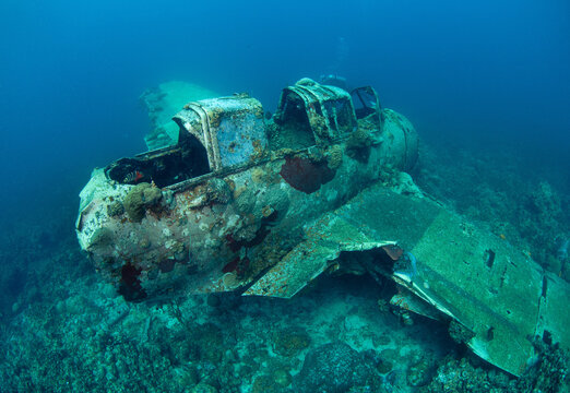 Underwater wreck of a jake sea plane in Palau photographed while diving in clear waters during a sunny day