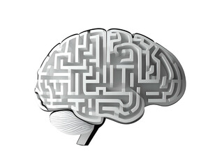 Human Brain with Maze Illustration.