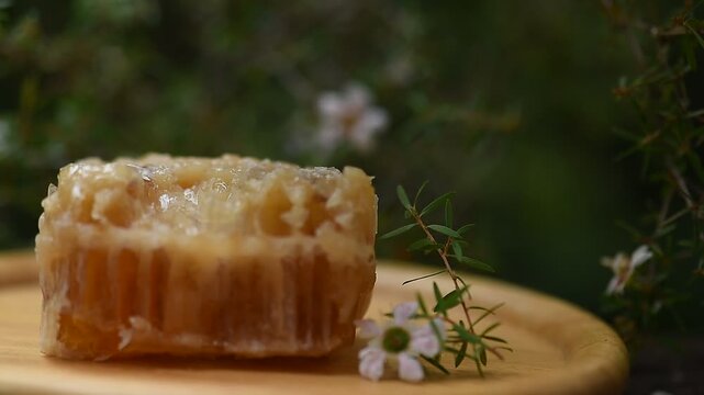 Manuka honey, honeycomb and flowers on natural background.