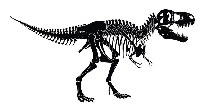 a striking depiction of a fearsome tyrannosaurus rex skeleton rendered in a stark black silhouette against a clean white background