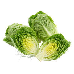 Fototapeta premium Fresh romaine lettuce heads and halves with crisp green leaves and visible water splashes, highlighting natural texture, freshness, and hydration for healthy food, salad, and organic produce concepts.