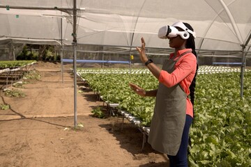 Virtual reality headset projecting display above hydroponic lettuce trays in greenhouse © wavebreak3