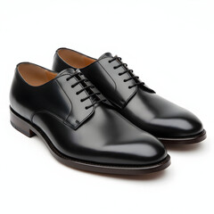 A pair of sleek men s shoes with polished brown leather