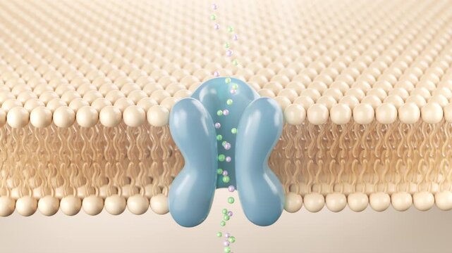 Ion channel in cell membrane structure background 3d animation.