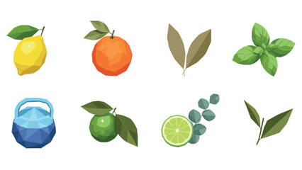 Obraz premium Geometric citrus and herbal elements in polygonal art style