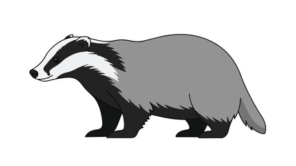 Fototapeta premium Vivid flat design depiction of a sturdy European badger in profile view, showcasing its iconic black and white facial stripes and compact build for