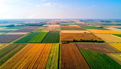 Aerial view of vibrant agricultural fields, a patchwork of diverse green, yellow, and brown crops creating geometric patterns across a rural landscape.
