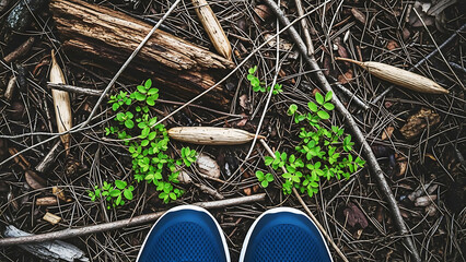 Obraz premium Blue sneakers on forest floor with wood and green plants walking