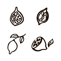 Obraz premium 1vector comida stock