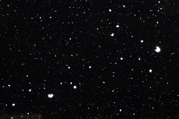 snow falling in the sky