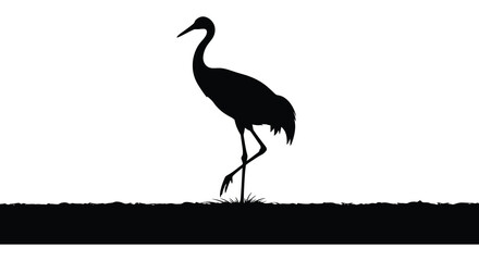 Obraz premium a striking black silhouette of a tall crane bird standing gracefully on a grassy land against a bright white background silhouette