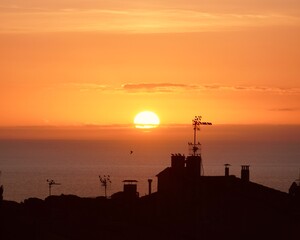 Morning sunrise with birds silhouettes on city rooftops. Beautiful dawn over the sea horizon.