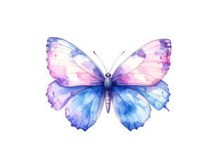 Obraz premium Watercolor illustration of butterflies and flowers on a white background