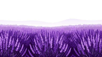Beautiful vector illustration of a lavender field in bloom, a serene and fragrant natural landscape © PDWN Creative