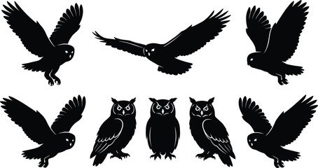Obraz premium Set of owl silhouettes in flying and standing poses, black night bird icon collection for wildlife, Halloween and nature design, isolated on white.