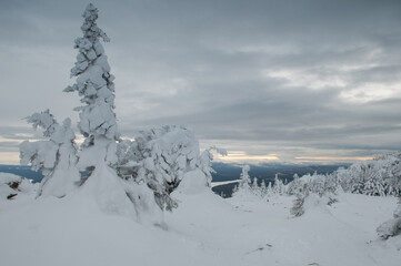 Picturesque snow-covered plateau on the top of Zuratkul mountain range in January, South Ural, Russia