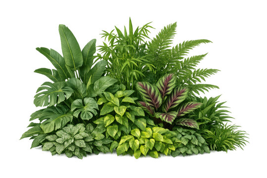 Lush tropical plant cluster showcasing exotic foliage and green leaf texture on a transparent alpha channel background