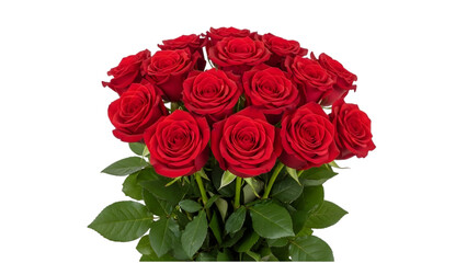 Obraz premium Bouquet of twelve fully bloomed red roses with green leaves and stems isolated on a transparent background