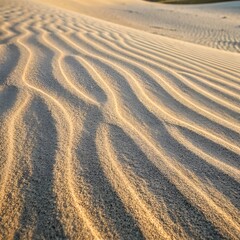 macro-texture-of-sand-ripples