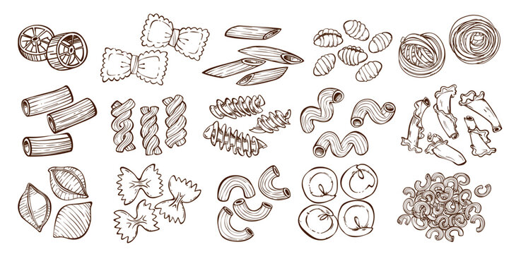 Doodle pasta set of different shapes isolated on white background. Vector illustration of black line spaghetti noodles, tagliatelle, fusilli, linguine, farfalle, ravioli, traditional Italian food