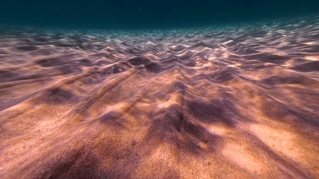 Underwater view of a sandy seabed with ripples and sunlight filtering through the water in Salento Italy. The scene is marine life oceanography and travel concepts