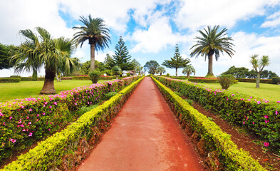 Garden at Miradouro da Ponta do Sossego at Sao Miguel island, Portugal.